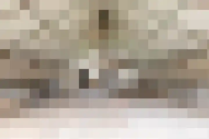 Langeweg 38 Haaren thumbnail 38