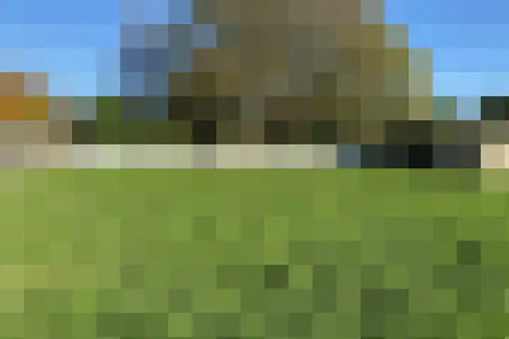 Langeweg 38 Haaren thumbnail 45