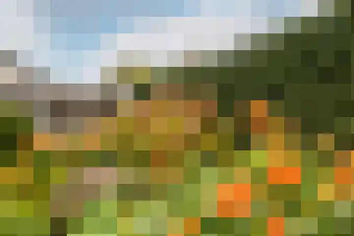 Langeweg 38 Haaren thumbnail 46