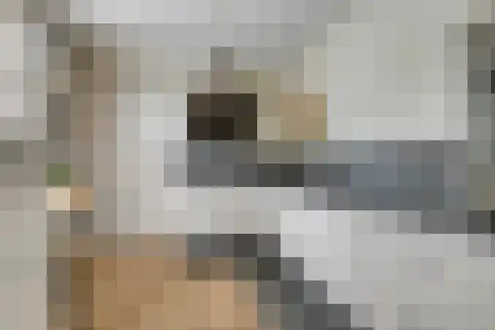 Langeweg 4 Zuidland thumbnail 10
