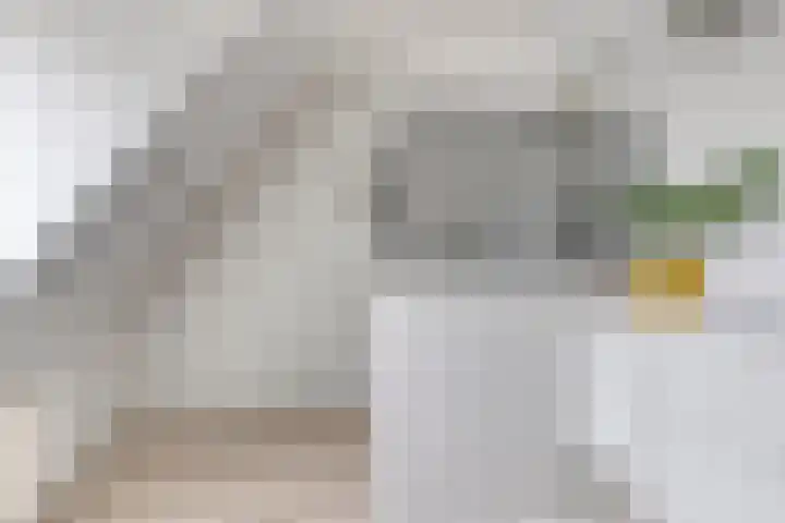 Langeweg 4 Zuidland thumbnail 22