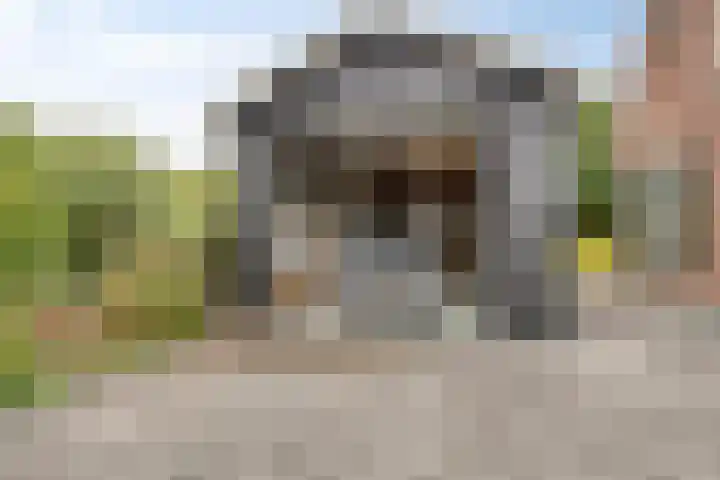 Langeweg 4 Zuidland thumbnail 28
