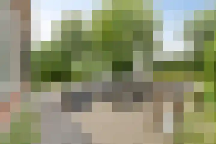 Langeweg 4 Zuidland thumbnail 29