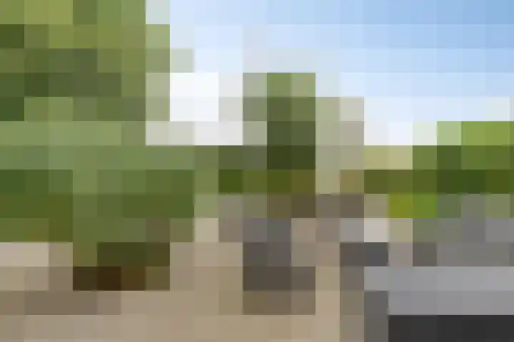Langeweg 4 Zuidland thumbnail 30