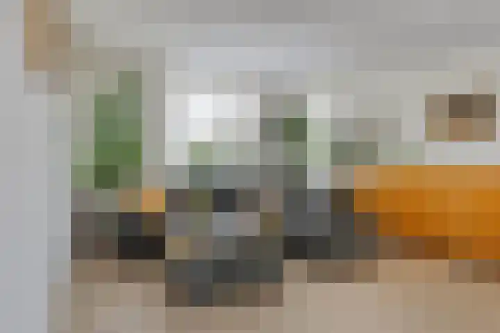 Langeweg 4 Zuidland thumbnail 6