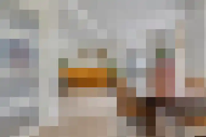 Langeweg 4 Zuidland thumbnail 8