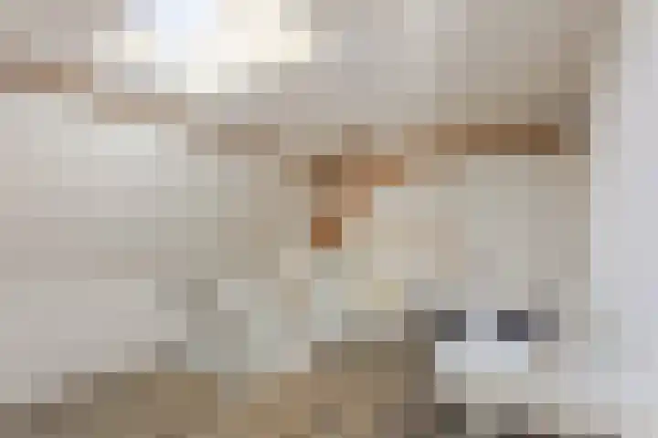 Langeweg 44 Rockanje thumbnail 21
