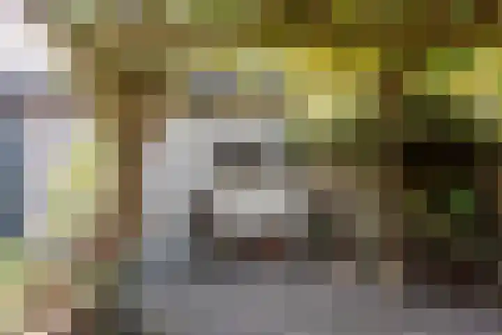 Langeweg 44 Rockanje thumbnail 39