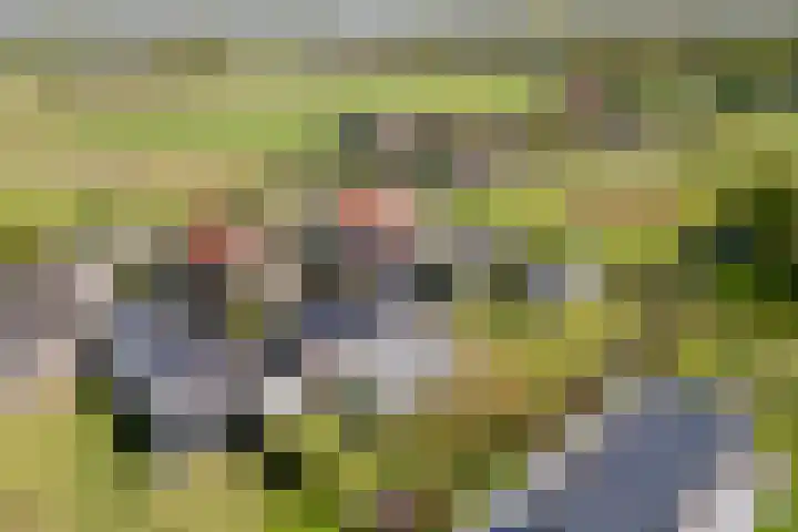 Langeweg 44 Rockanje thumbnail 4
