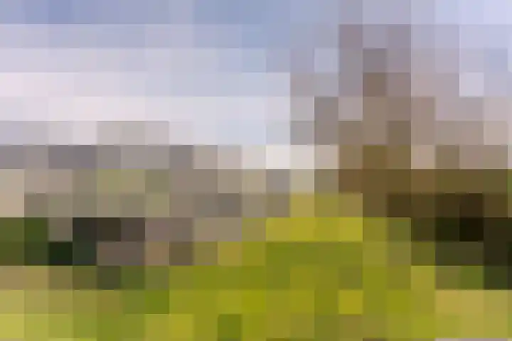 Langeweg 44 Rockanje thumbnail 43