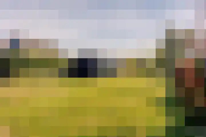 Langeweg 44 Rockanje thumbnail 46