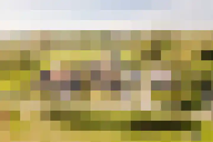 Langeweg 44 Rockanje thumbnail 5