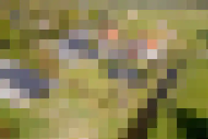 Langeweg 44 Rockanje thumbnail 51
