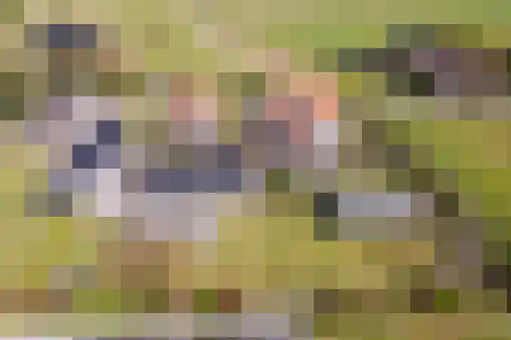 Langeweg 44 Rockanje thumbnail 54