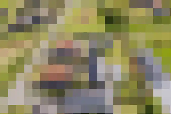 Langeweg 44 Rockanje thumbnail 55