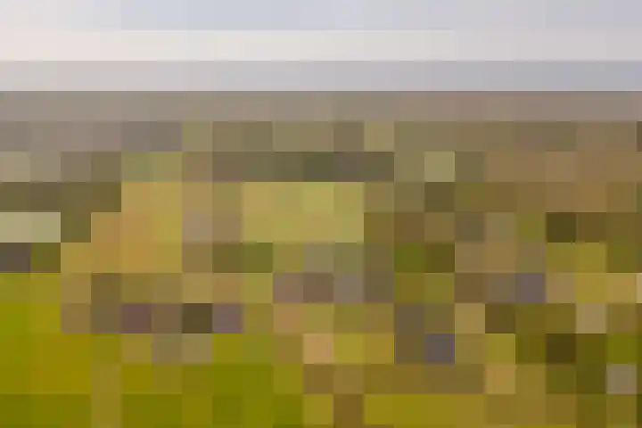 Langeweg 44 Rockanje thumbnail 56