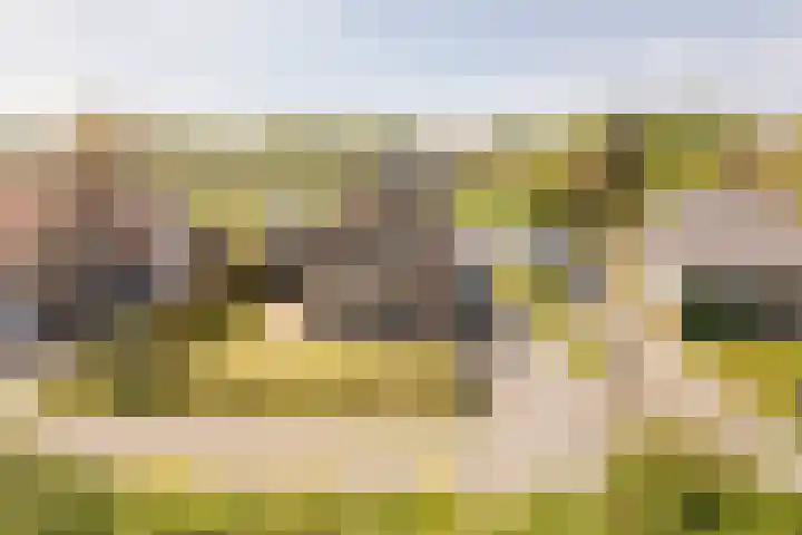 Langeweg 44 Rockanje thumbnail 6