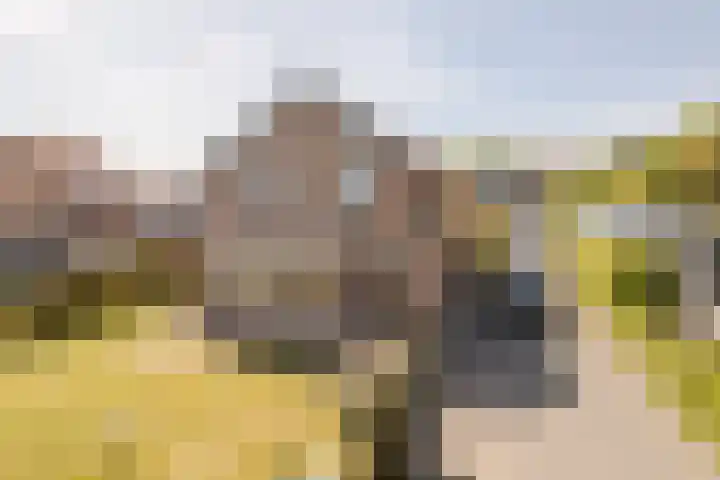 Langeweg 44 Rockanje thumbnail 7