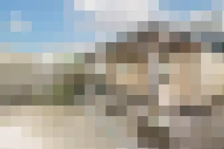 Langeweg 45 Sint Philipsland thumbnail 32
