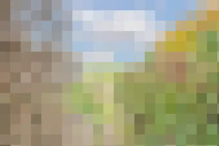 Langeweg 45 Sint Philipsland thumbnail 41