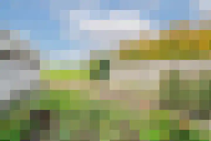 Langeweg 45 Sint Philipsland thumbnail 42