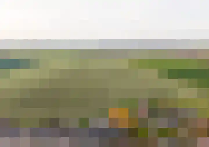 Langeweg 45 Sint Philipsland thumbnail 5
