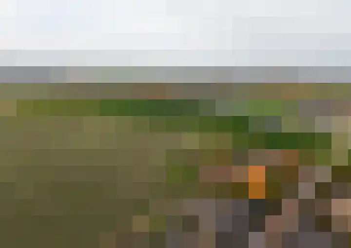 Langeweg 45 Sint Philipsland thumbnail 52