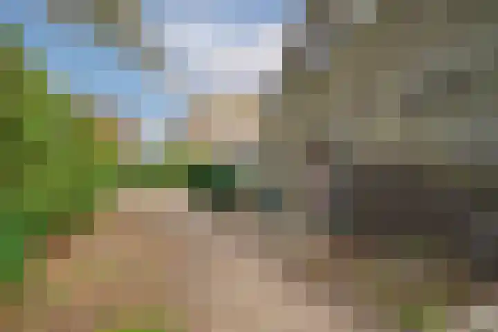 Langeweg 45 Sint Philipsland thumbnail 7