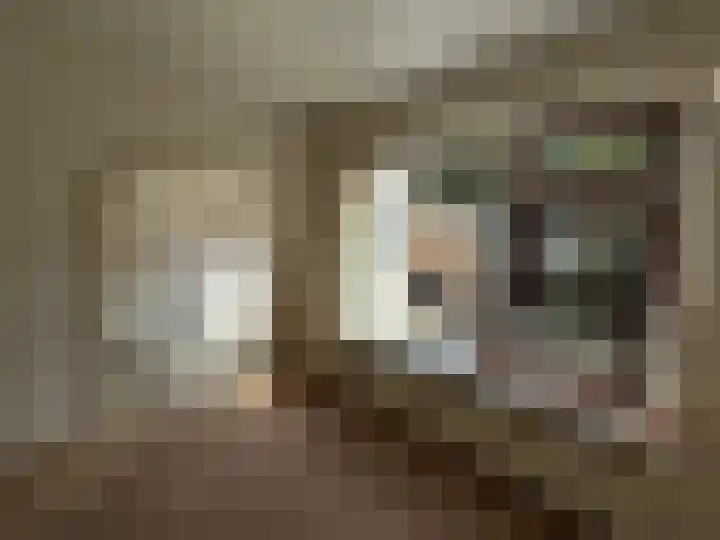 Langeweg 65 Slootdorp thumbnail 11