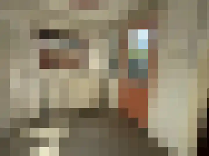 Langeweg 65 Slootdorp thumbnail 13