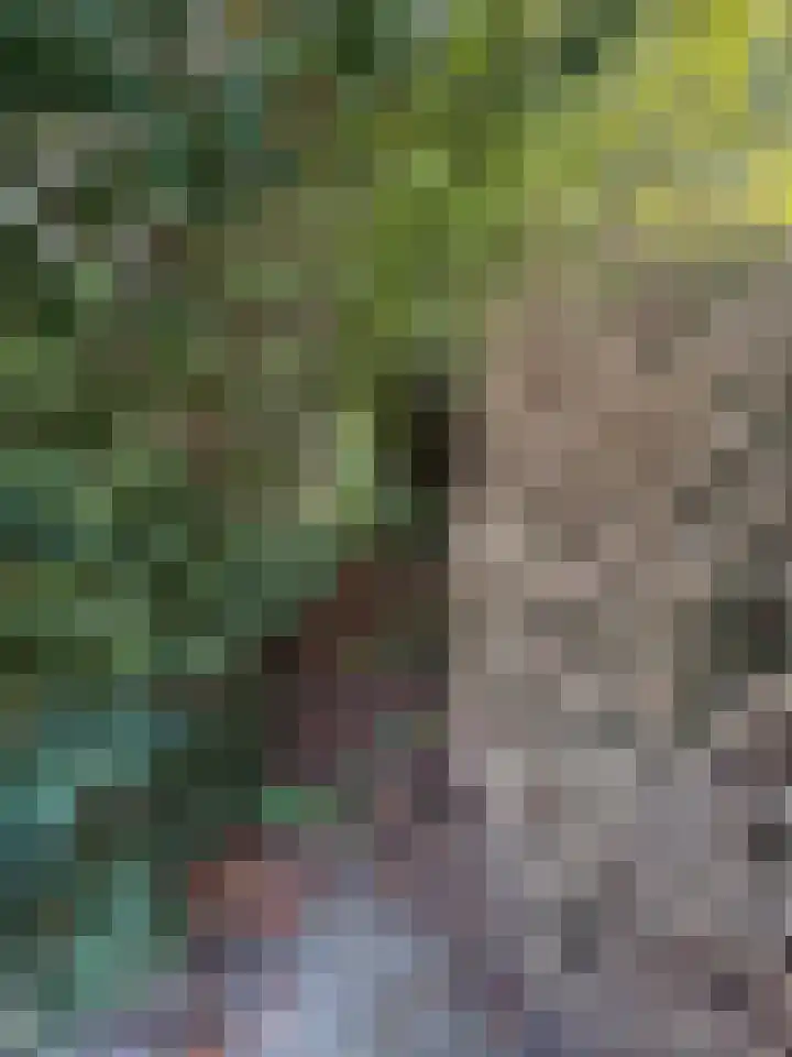Langeweg 65 Slootdorp thumbnail 17
