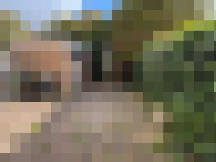 Langeweg 65 Slootdorp thumbnail 18
