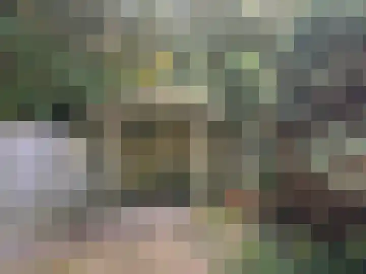 Langeweg 65 Slootdorp thumbnail 21