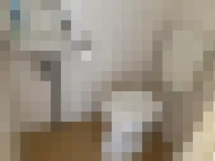 Langeweg 65 Slootdorp thumbnail 6
