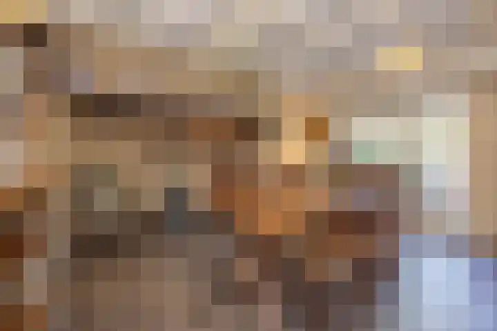 Langeweg 68 Haaren thumbnail 10