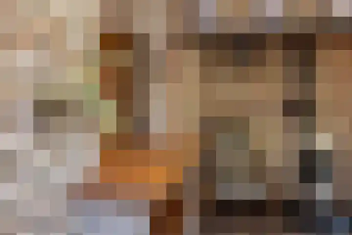 Langeweg 68 Haaren thumbnail 11
