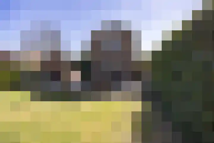 Langeweg 68 Haaren thumbnail 31