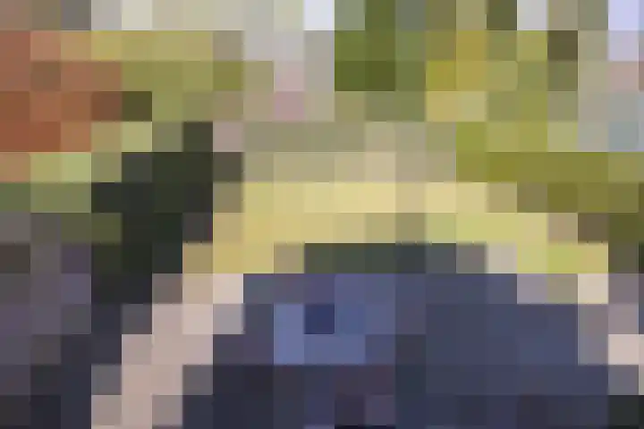 Langeweg 68 Haaren thumbnail 35