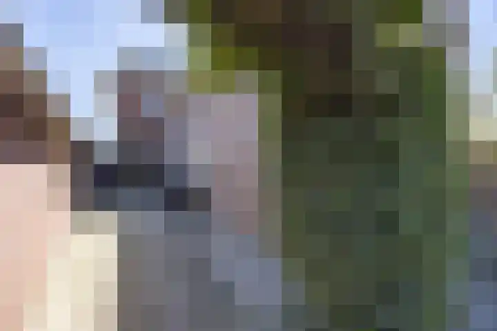 Langeweg 68 Haaren thumbnail 36
