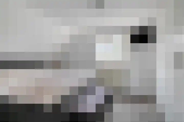 Langeweg 8 Oostvoorne thumbnail 15