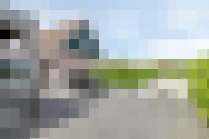 Langeweg 8 Oostvoorne thumbnail 18