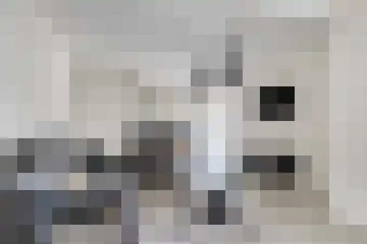Langeweg 8 Oostvoorne thumbnail 7