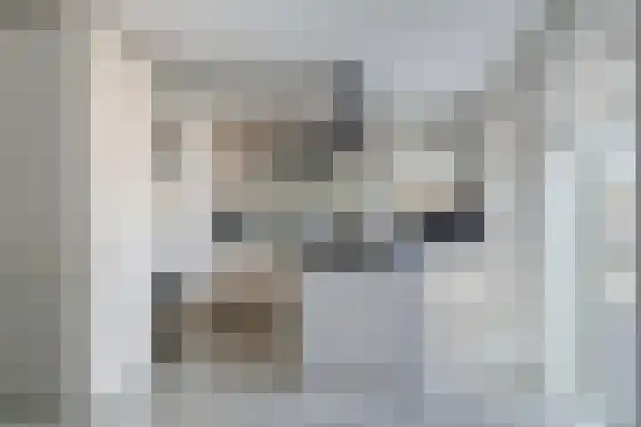 Langeweg 8 Oostvoorne thumbnail 9