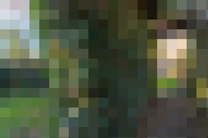 Langeweg 80 Gennep thumbnail 25
