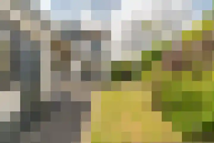 Langeweg 9 De Heen thumbnail 43