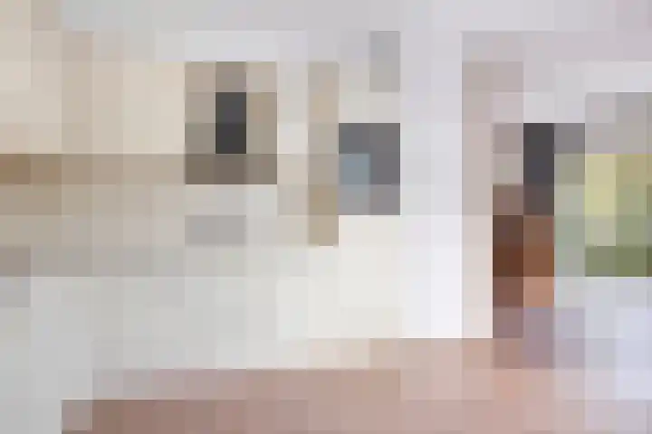 Langeweid 11 Koedijk thumbnail 16