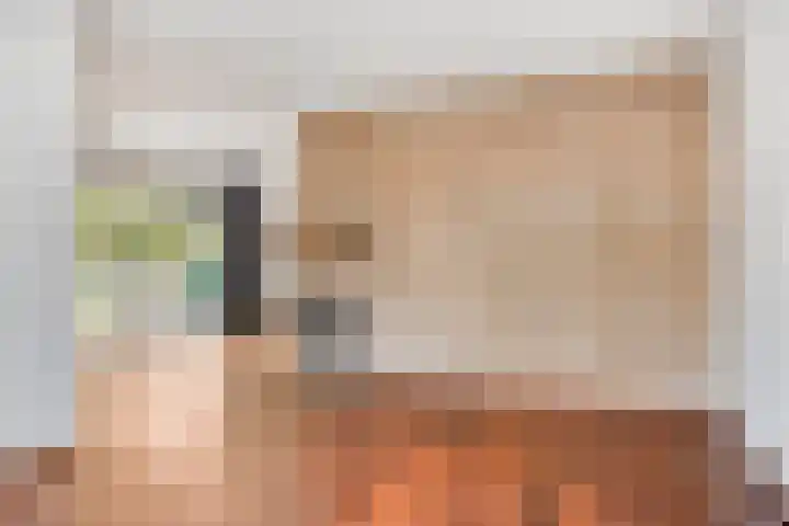 Langeweid 11 Koedijk foto 2