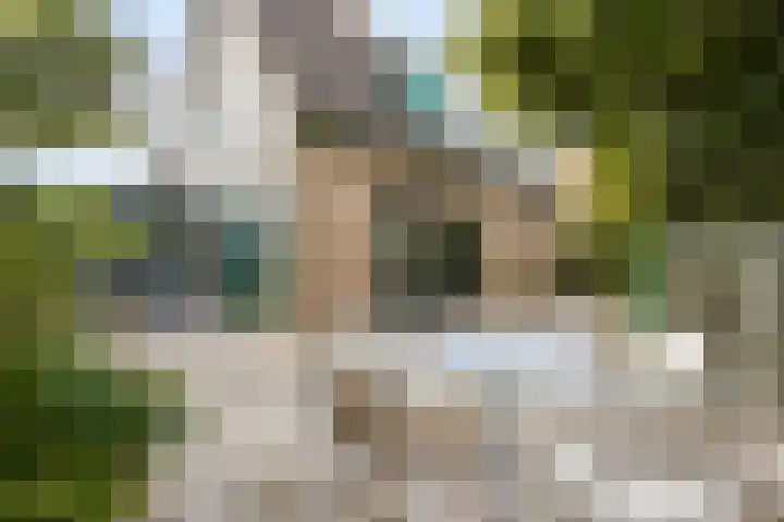 Langeweid 11 Koedijk thumbnail 33