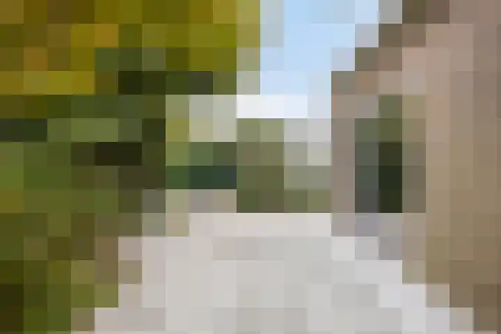 Langeweid 11 Koedijk thumbnail 35