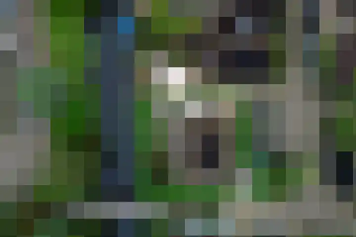 Langeweid 11 Koedijk thumbnail 36